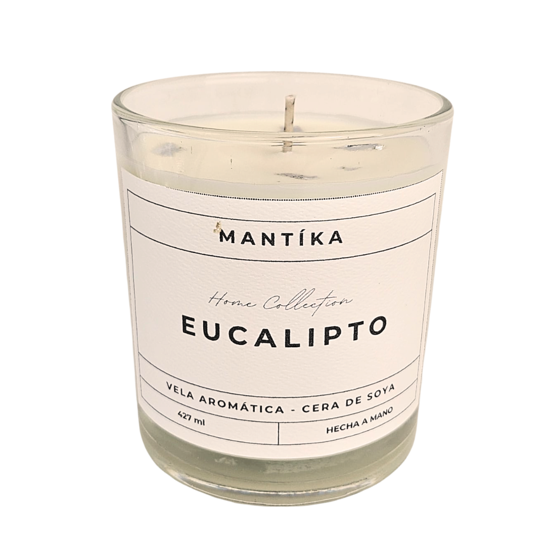 Eucalipto - Home Collection, 427 ml