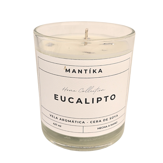 Eucalipto - Home Collection, 427 ml