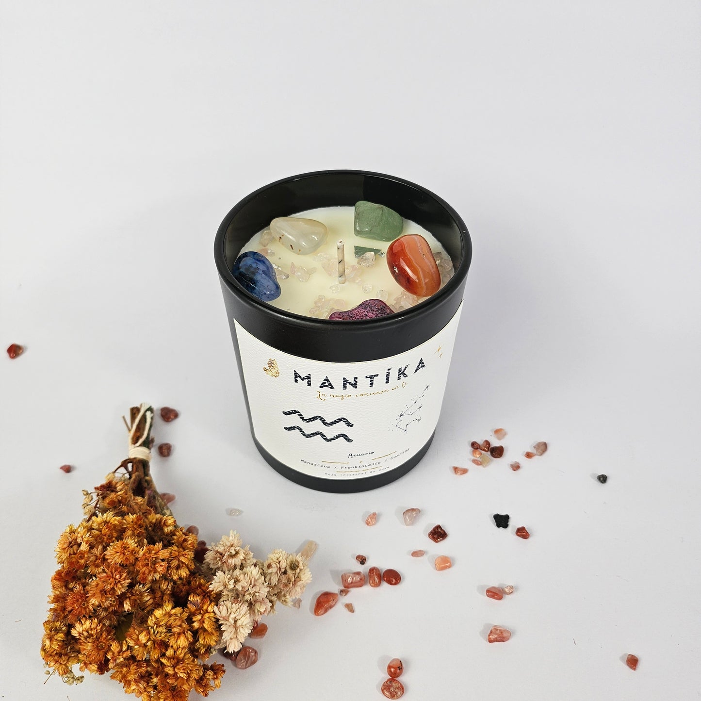 Acuario - Vela artesanal de Soya 427 ml