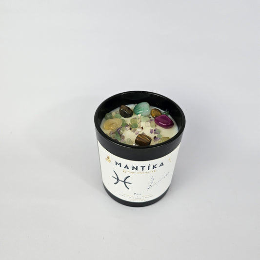 Piscis - Vela artesanal de Soya 427 ml